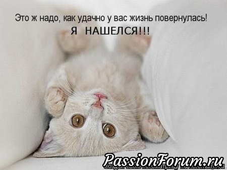 КОТЭ-МИЛАШКИ
