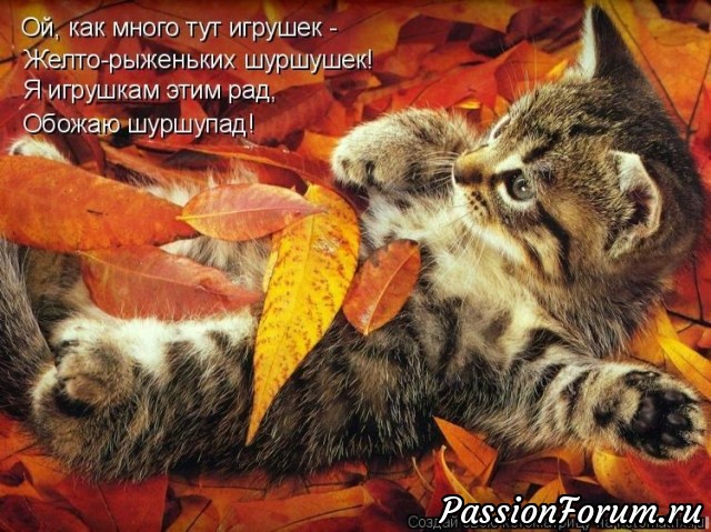 КОТЭ-МИЛАШКИ