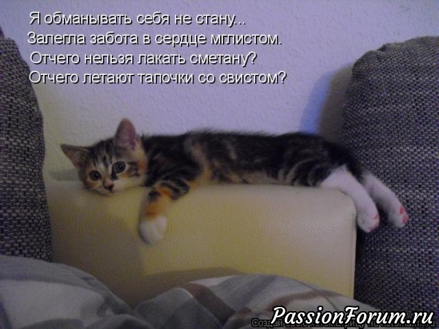 КОТЭ-МИЛАШКИ