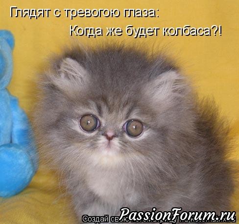 КОТЭ-МИЛАШКИ