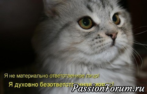 КОТЭ-МИЛАШКИ