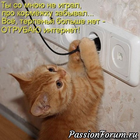 КОТЭ-МИЛАШКИ