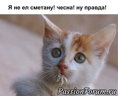 КОТЭ-МИЛАШКИ