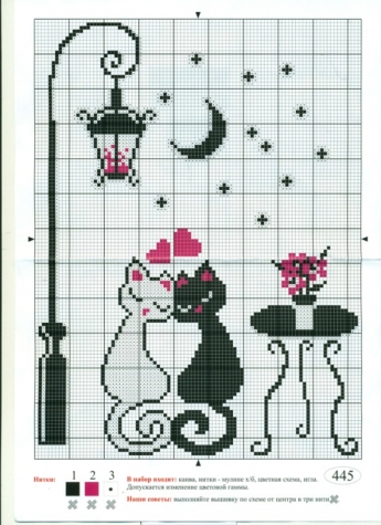 Котики