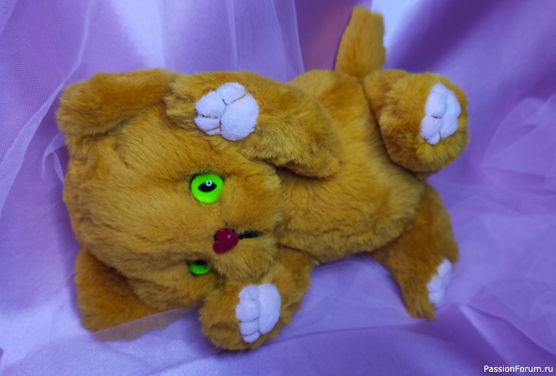 Кошечка Солнышко