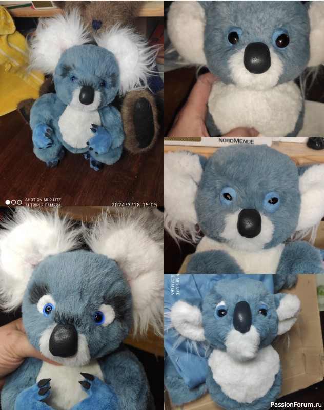 Коала Олюшка