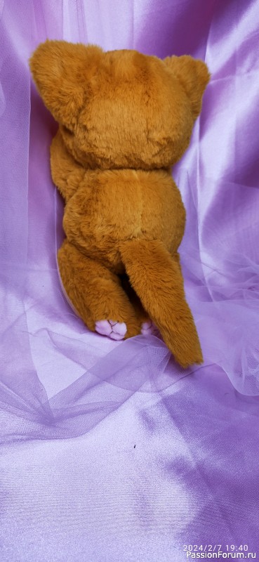 Кошечка Солнышко