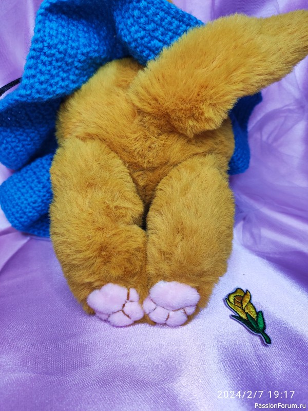 Кошечка Солнышко