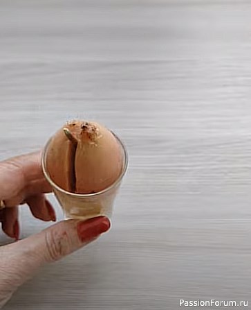 Хитрый трюк, чтобы АВОКАДО быстро проросло