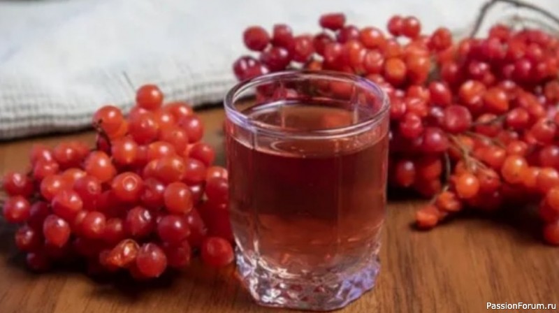 КАЛИНА не пропадет, рецепт настойки из осенней ягоды