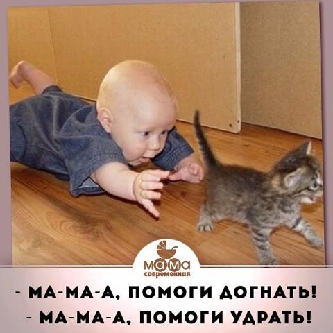 11-04---+8---холодно...весна..