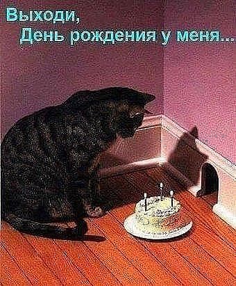 09.05...Говорят, что все ждут лета... Нет... неправда — в этом году все ждут МИРА!