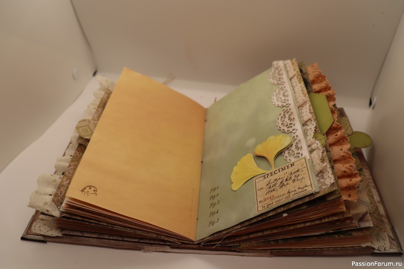 Дневник в стиле книги.