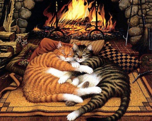 Кошки. Милые и озорные