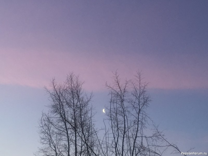 Красота рядом с нами