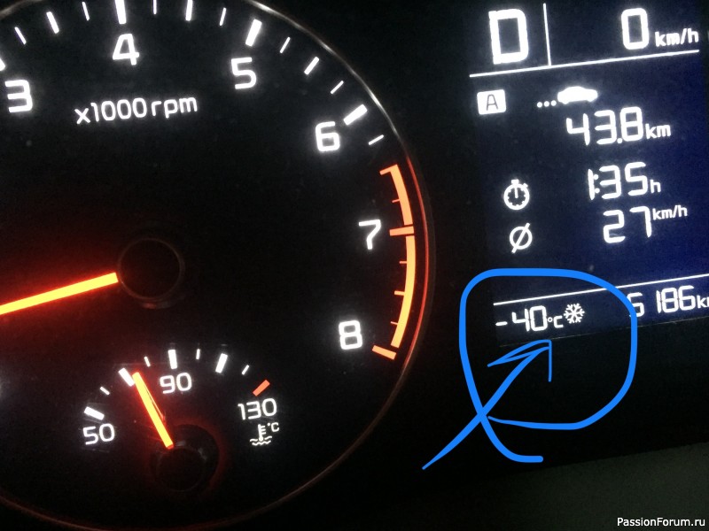 А у меня бабочка и...... минус 40!