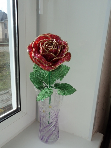 Мои две.новые розочки