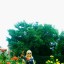 gustowa.irina@yandex.ru
