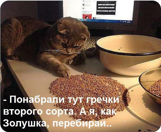 улыбнитесь!