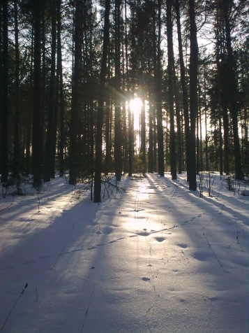 Прогулка .