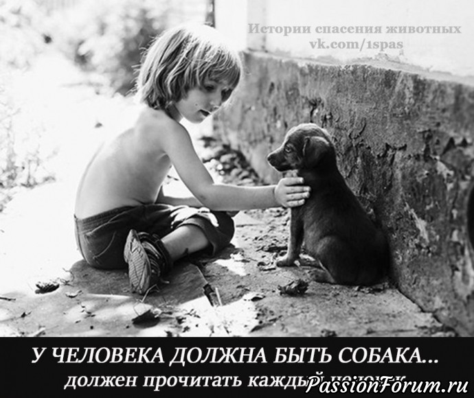 У ЧЕЛОВЕКА ДОЛЖНА БЫТЬ СОБАКА... 