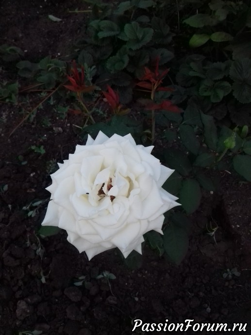 У природы нет плохой погоды