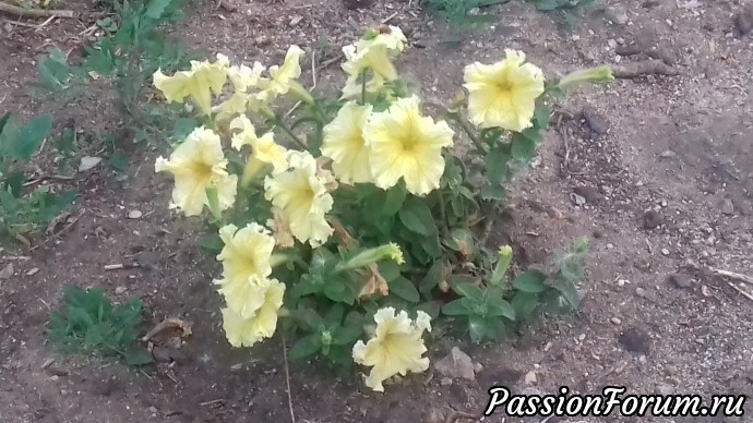 Вот и лето на закате...