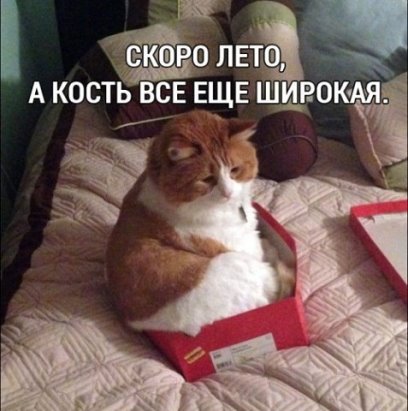 Фото, которые не оставили равнодушной.