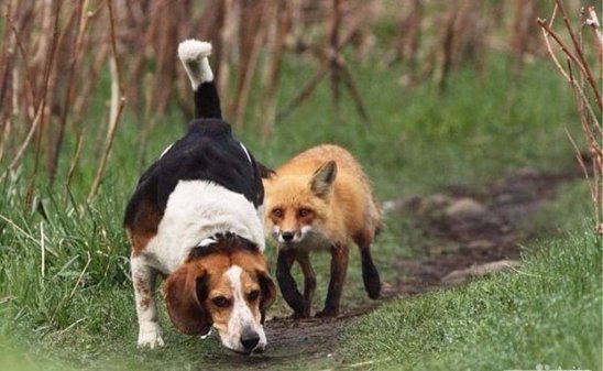 Фото, которые не оставили равнодушной.