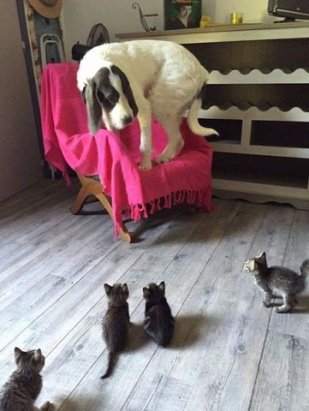 Фото, которые не оставили равнодушной.