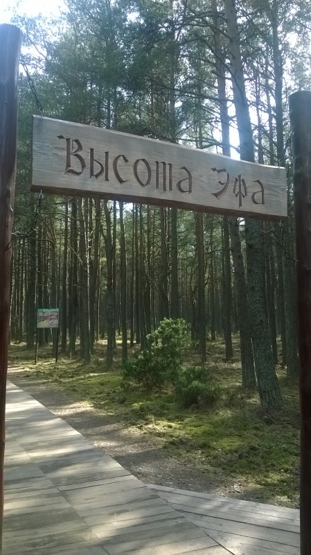 Великолепный Калининград. ЧАСТЬ 4