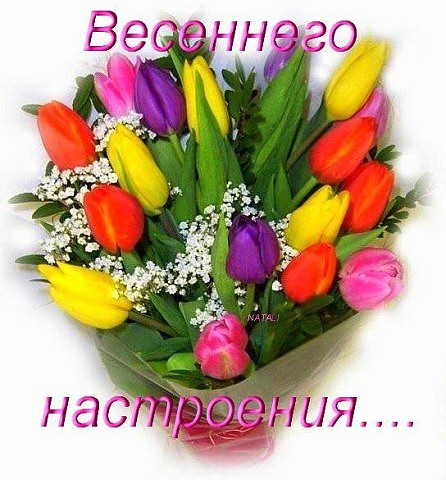 Весна в цвету 2016 г