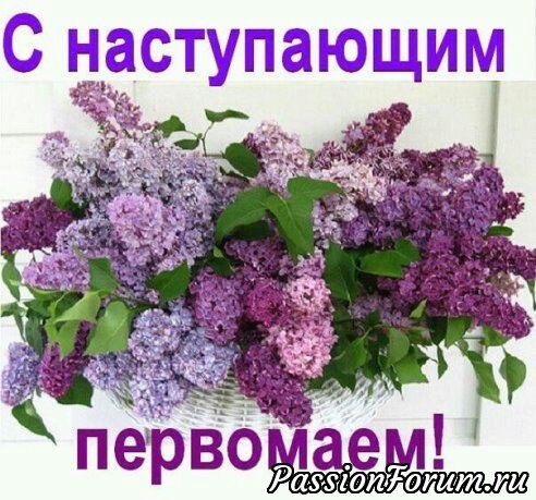 С наступающим Первомаем !