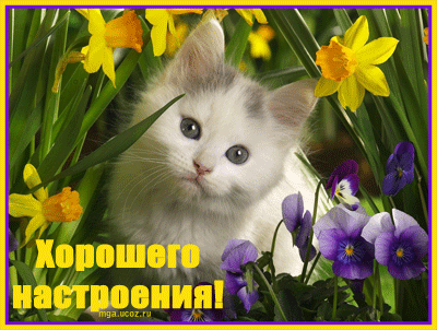 Вот и я решилась..