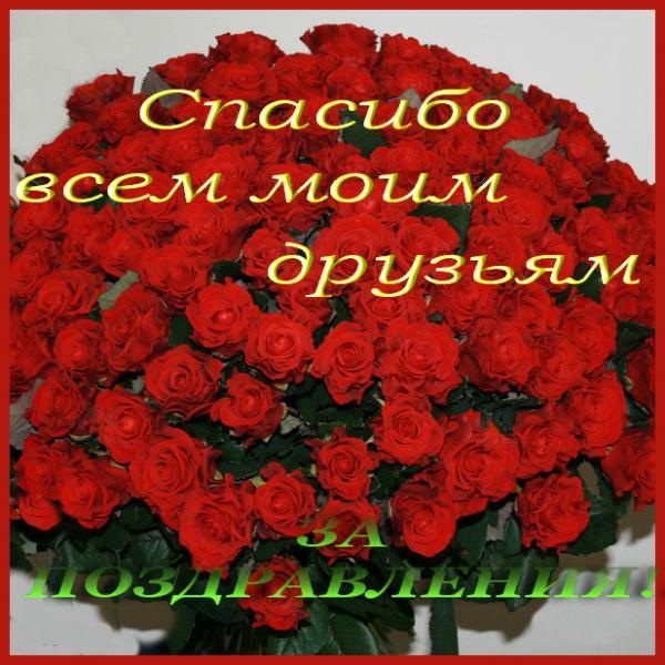 Какое счастье, что тебя окружают замечательные люди!