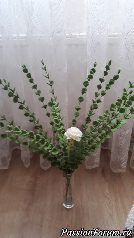 Веточки эвкалипта