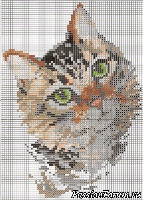 Котик