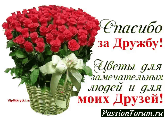 СПАСИБО ВСЕМ МОИМ ДРУЗЬЯМ!!!!