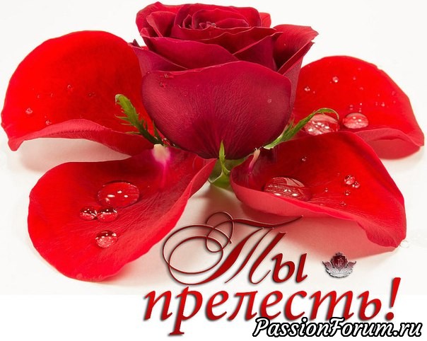 Подарок к Юбилею