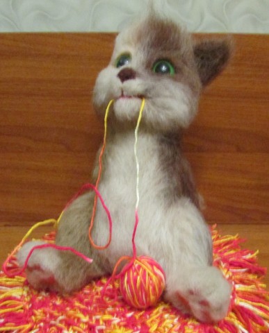 Котенок Шкода