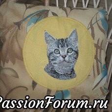 К дню кошек (с опозданием)