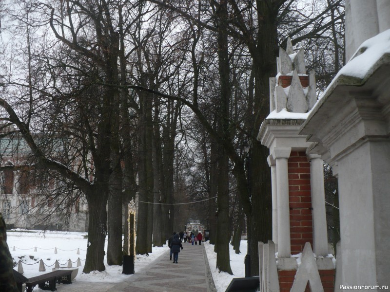 Зимняя прогулка по парку Царицыно.