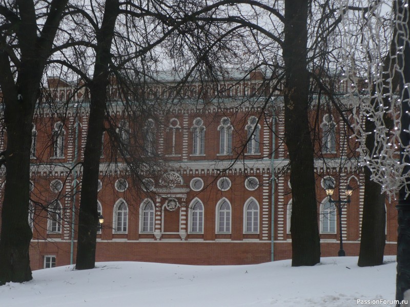 Зимняя прогулка по парку Царицыно.