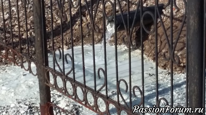 Осень в Красноусольске или Всем в лес!