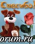 СПАСИБО за поддержку!!!