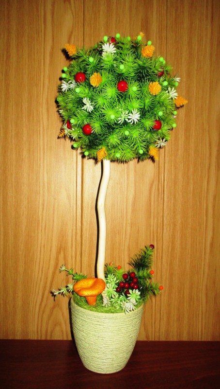 Мои топиарии.
