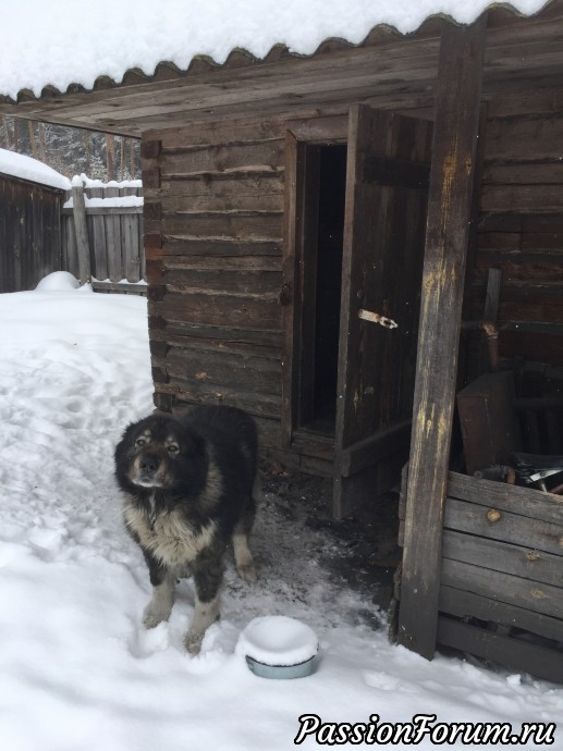 Дом, в котором я живу или тарелок много не бывает...