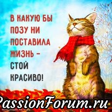 Искала картинку, а набрела на «Фитнес для мозга», как это частенько бывает.