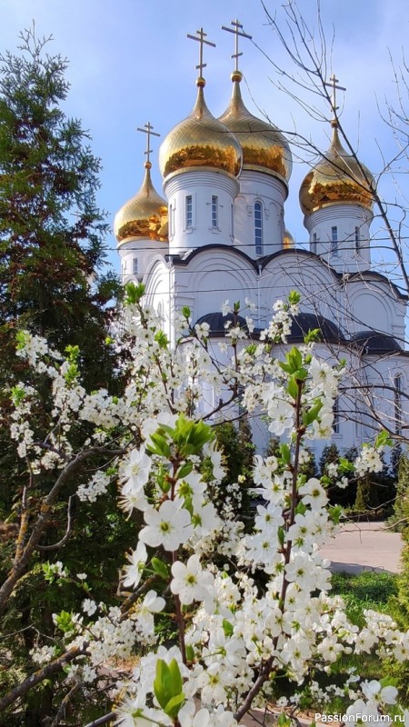 КОЛЕБАНИЯ и ВОЛНЫ...