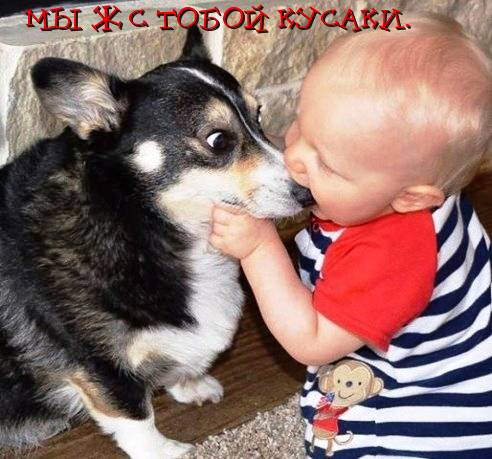 Шучу не только 1 апреля